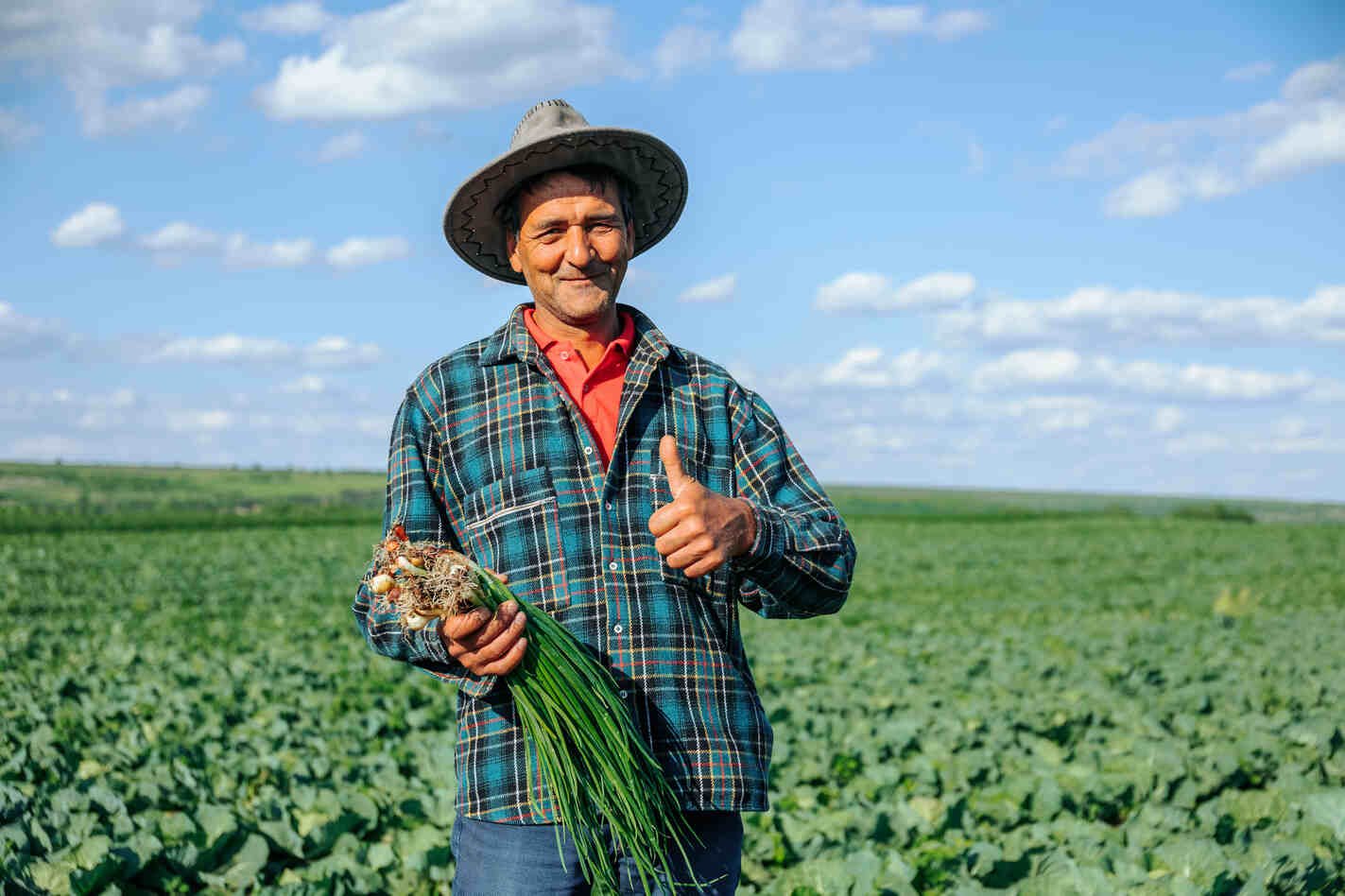 Agri-Capital Global box (1) (1)